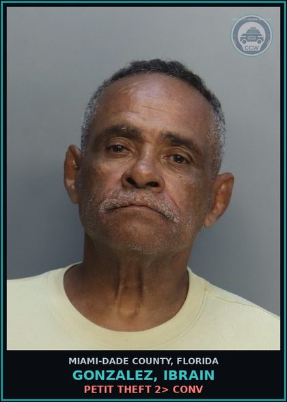 CCW arrest card for GONZALEZ, IBRAIN in Miami-Dade County: PETIT THEFT 2> CONV