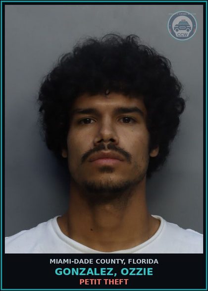 CCW arrest card for GONZALEZ, OZZIE in Miami-Dade County: PETIT THEFT