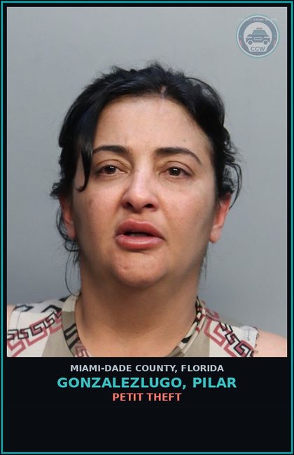 CCW arrest card for GONZALEZLUGO, PILAR in Miami-Dade County: PETIT THEFT