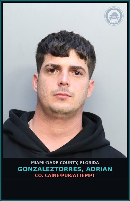 CCW arrest card for GONZALEZTORRES, ADRIAN in Miami-Dade County: COCAINE/PUR/ATTEMPT