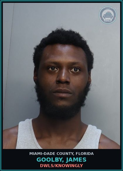 CCW arrest card for GOOLBY, JAMES in Miami-Dade County: DWLS/KNOWINGLY