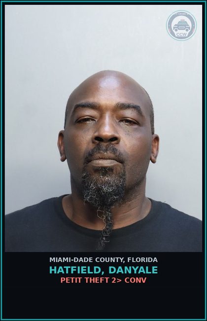 CCW arrest card for HATFIELD, DANYALE in Miami-Dade County: PETIT THEFT 2> CONV