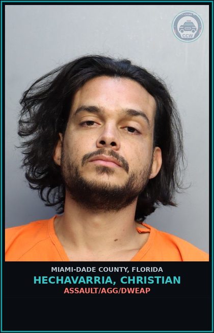 CCW arrest card for HECHAVARRIA, CHRISTIAN in Miami-Dade County: CRIM MIS/1000+