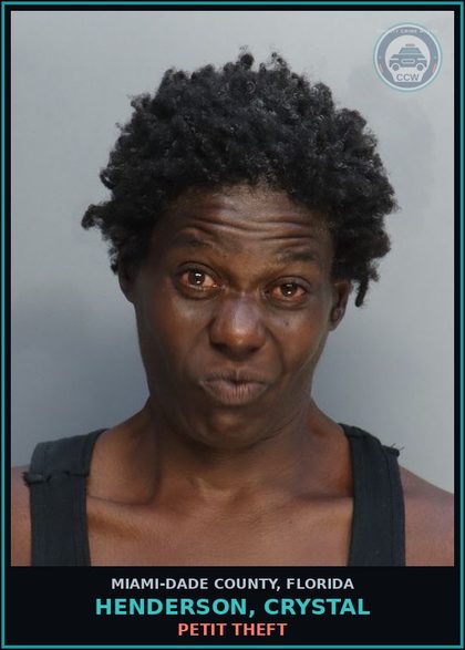 CCW arrest card for HENDERSON, CRYSTAL in Miami-Dade County: PETIT THEFT