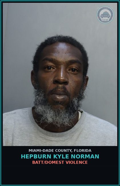 Miami-Dade County, FL Mugshots | County Crime Watch