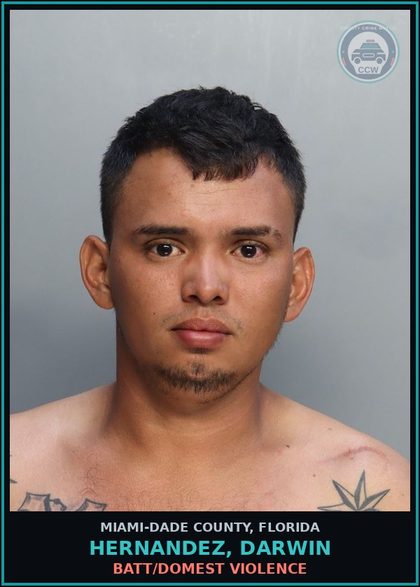 CCW arrest card for HERNANDEZ, DARWIN in Miami-Dade County: BATT/DOMEST VIOLENCE