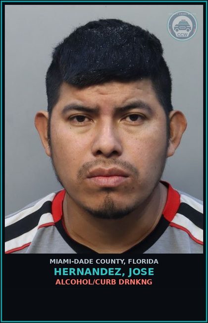 CCW arrest card for HERNANDEZ, JOSE in Miami-Dade County: ALCOHOL/CURB DRNKNG