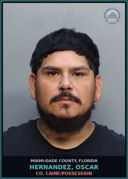 CCW arrest card for HERNANDEZ, OSCAR in Miami-Dade County: COCAINE/POSSESSION