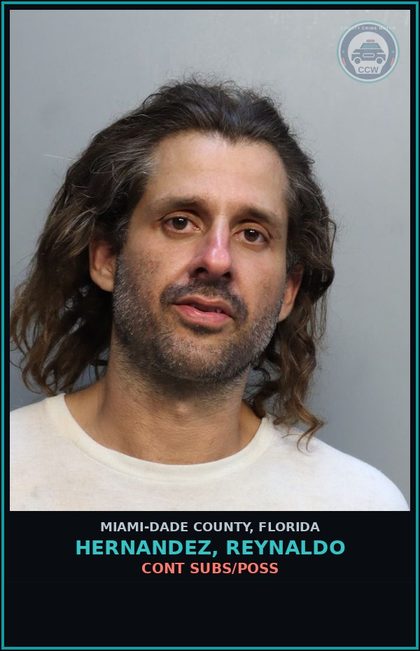 CCW arrest card for HERNANDEZ, REYNALDO in Miami-Dade County: CONT SUBS/POSS