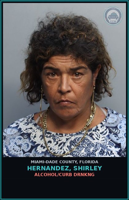 CCW arrest card for HERNANDEZ, SHIRLEY in Miami-Dade County: ALCOHOL/CURB DRNKNG