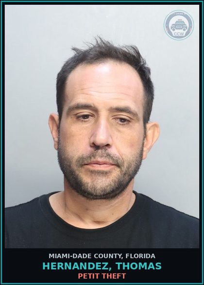 CCW arrest card for HERNANDEZ, THOMAS in Miami-Dade County: RETAIL THFT/PRI CON