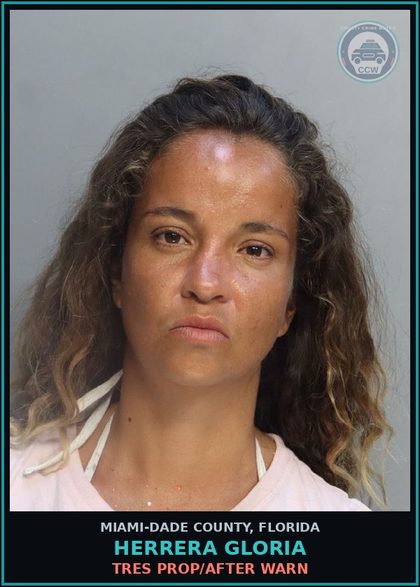 CCW arrest card for HERRERA GLORIA in Miami-Dade County: TRES PROP/AFTER WARN