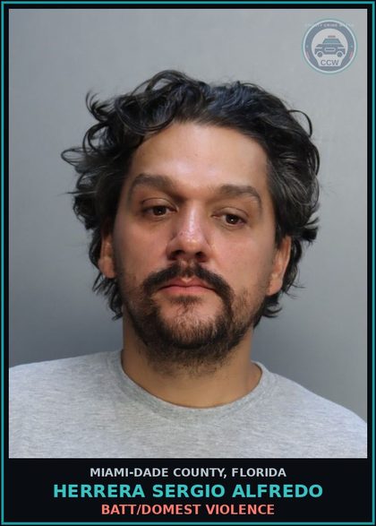 CCW arrest card for HERRERA SERGIO  ALFREDO in Miami-Dade County: BATT/DOMEST VIOLENCE