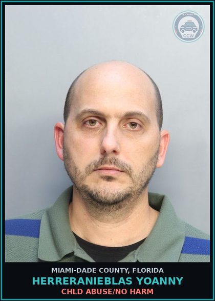 CCW arrest card for HERRERANIEBLAS YOANNY in Miami-Dade County: chld ABUSE/NO HARM