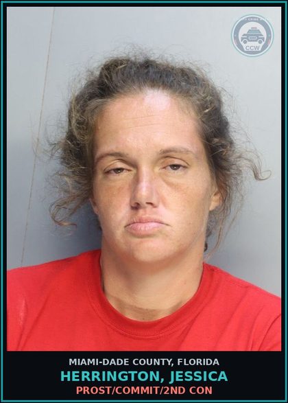 CCW arrest card for HERRINGTON, JESSICA in Miami-Dade County: PROST/COMMIT/2ND CON