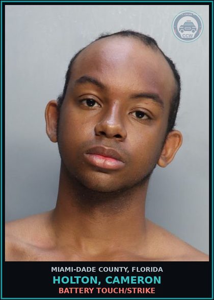 CCW arrest card for HOLTON, CAMERON in Miami-Dade County: REST O W/O VIOL