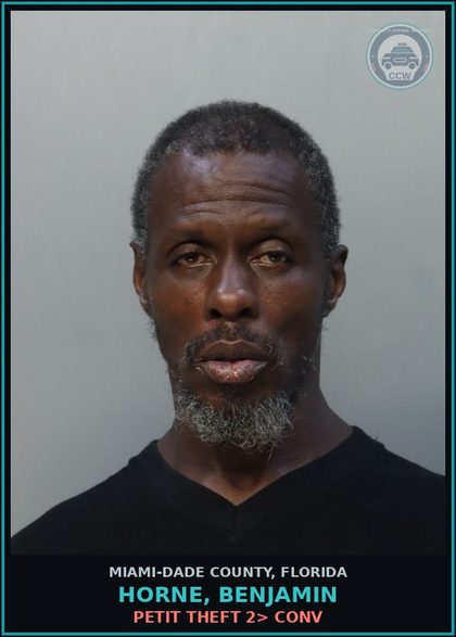 CCW arrest card for HORNE, BENJAMIN in Miami-Dade County: PETIT THEFT 2> CONV