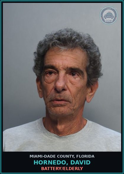 CCW arrest card for HORNEDO, DAVID in Miami-Dade County: BATTERY/ELDERLY