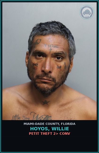 CCW arrest card for HOYOS, WILLIE in Miami-Dade County: PETIT THEFT 2> CONV