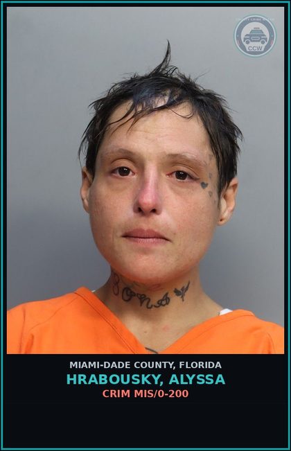 CCW arrest card for HRABOUSKY, ALYSSA in Miami-Dade County: CRIM MIS/0-200