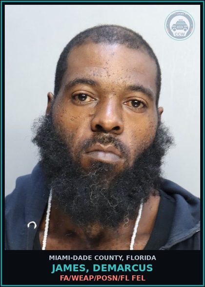 CCW arrest card for JAMES, DEMARCUS in Miami-Dade County: FA/WEAP/POSN/FL FEL