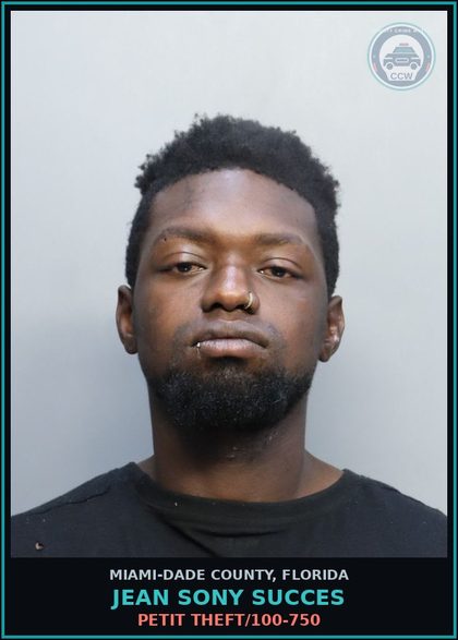 CCW arrest card for JEAN SONY  SUCCES in Miami-Dade County: PETIT THEFT/100-750