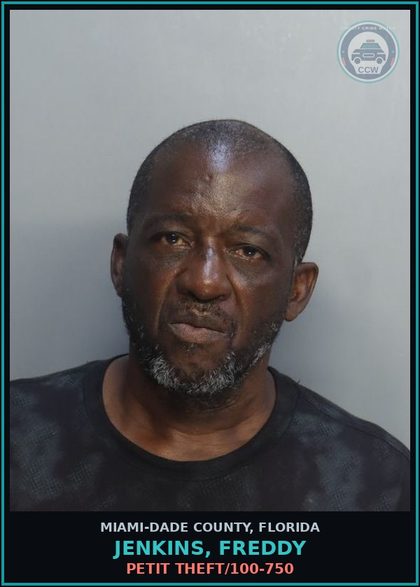 CCW arrest card for JENKINS, FREDDY in Miami-Dade County: PETIT THEFT/100-750