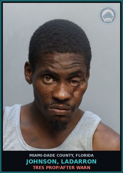 CCW arrest card for JOHNSON, LADARRON in Miami-Dade County: TRES PROP/AFTER WARN
