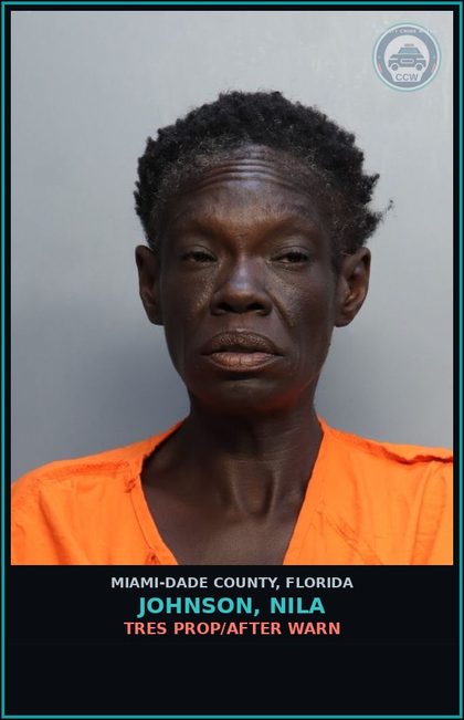 CCW arrest card for JOHNSON, NILA in Miami-Dade County: TRES PROP/AFTER WARN