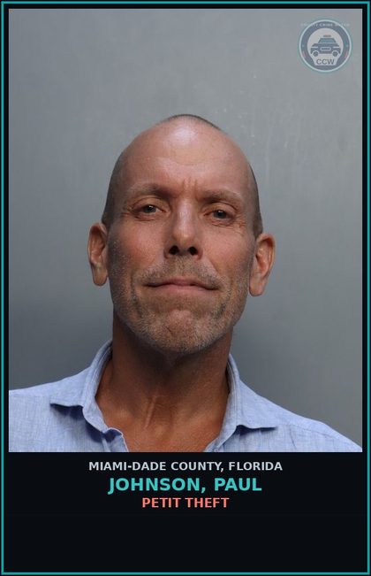 CCW arrest card for JOHNSON, PAUL in Miami-Dade County: PETIT THEFT