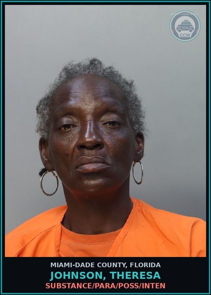 CCW arrest card for JOHNSON, THERESA in Miami-Dade County: DRUG/PARA/POSS/INTEN