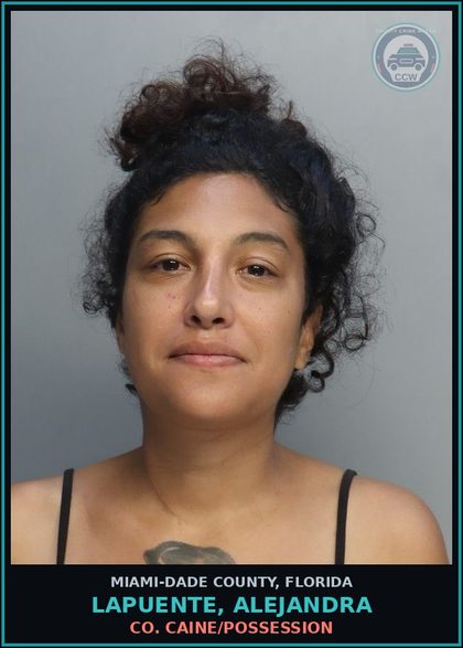 CCW arrest card for LAPUENTE, ALEJANDRA in Miami-Dade County: COCAINE/POSSESSION