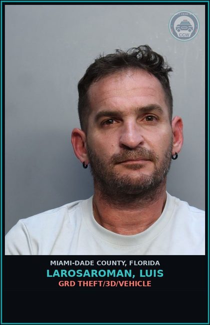 CCW arrest card for LAROSAROMAN, LUIS in Miami-Dade County: GRD THEFT/3D/VEHICLE