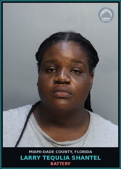 CCW arrest card for LARRY TEQULIA  SHANTEL in Miami-Dade County: BATTERY