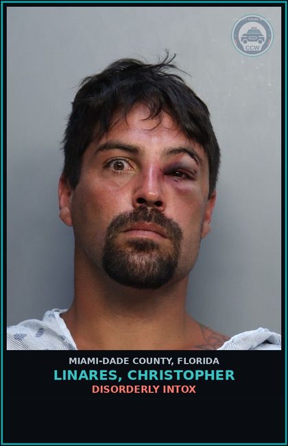CCW arrest card for LINARES, CHRISTOPHER in Miami-Dade County: RECK/CARELE OPER VES