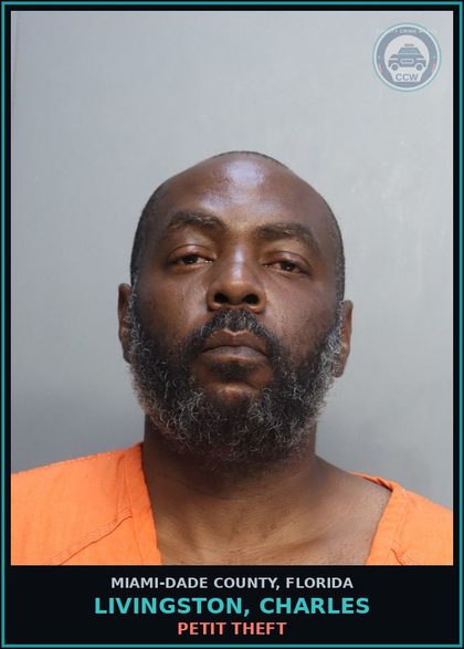 CCW arrest card for LIVINGSTON, CHARLES in Miami-Dade County: PETIT THEFT