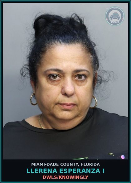 CCW arrest card for LLERENA ESPERANZA  I in Miami-Dade County: DWLS/KNOWINGLY