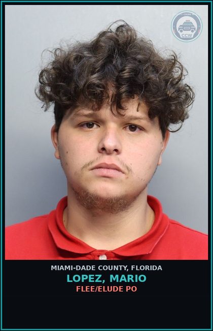 CCW arrest card for LOPEZ, MARIO in Miami-Dade County: FLEE/ELUDE PO
