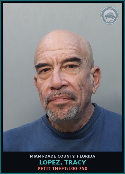 CCW arrest card for LOPEZ, TRACY in Miami-Dade County: PETIT THEFT/100-750