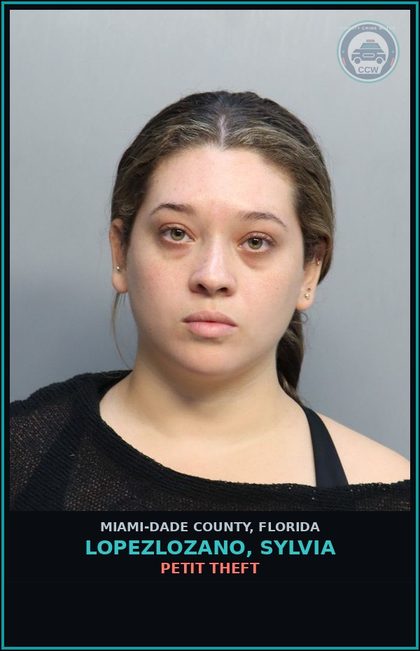 CCW arrest card for LOPEZLOZANO, SYLVIA in Miami-Dade County: PETIT THEFT