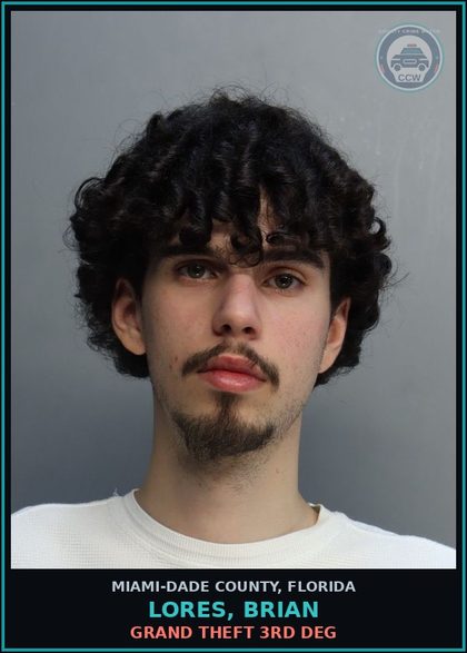 CCW arrest card for LORES, BRIAN in Miami-Dade County: GRAND THEFT 3RD DEG
