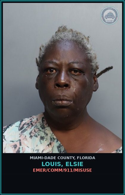 CCW arrest card for LOUIS, ELSIE in Miami-Dade County: EMER/COMM/911/MISUSE