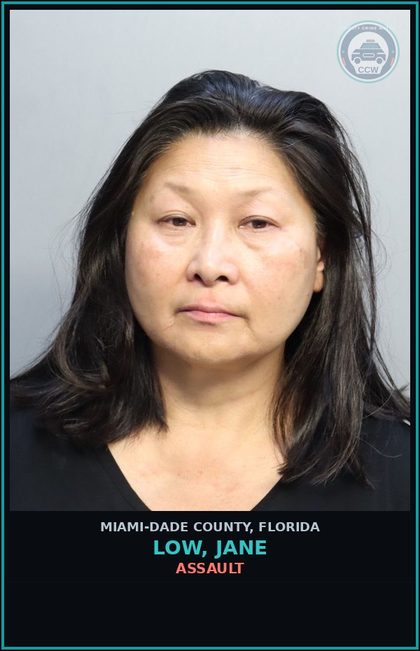 CCW arrest card for LOW, JANE in Miami-Dade County: CRIM MIS/1000+