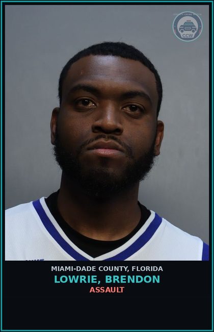 CCW arrest card for LOWRIE, BRENDON in Miami-Dade County: FALSE IMPRISONMENT