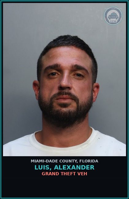 CCW arrest card for LUIS, ALEXANDER in Miami-Dade County: ASSLT/AGG/LEO/FIRERM