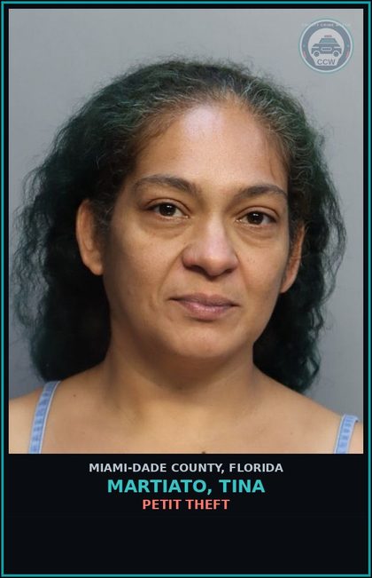 CCW arrest card for MARTIATO, TINA in Miami-Dade County: PETIT THEFT