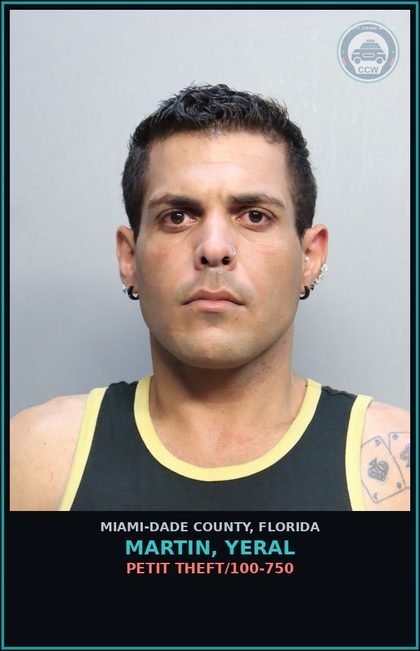 CCW arrest card for MARTIN, YERAL in Miami-Dade County: PETIT THEFT/100-750