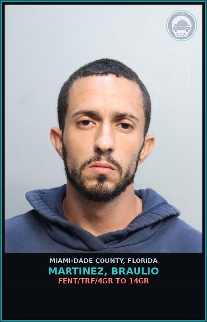 CCW arrest card for MARTINEZ, BRAULIO in Miami-Dade County: FENT/TRF/4GR TO 14GR