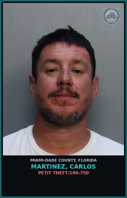 CCW arrest card for MARTINEZ, CARLOS in Miami-Dade County: PETIT THEFT/100-750