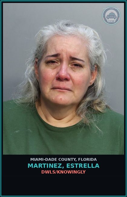 CCW arrest card for MARTINEZ, ESTRELLA in Miami-Dade County: DWLS/KNOWINGLY